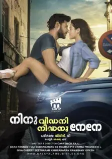 Ninu Veedani Needanu Nene / നിനു വീഡനി നീഡനു നേനേ (2019)