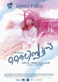 Kaili Blues / കൈലി ബ്ലൂസ് (2015)