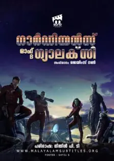 Guardians of the Galaxy / ഗാർഡിയൻസ് ഓഫ് ദി ഗ്യാലക്സി (2014)