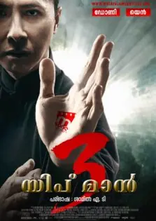 Ip Man 3 / യിപ് മാൻ 3 (2015)