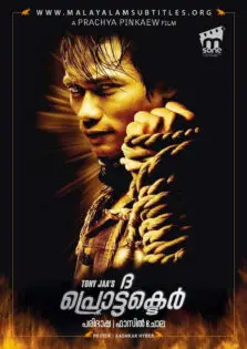 The Protector / ദ പ്രൊട്ടക്ടർ (2005)